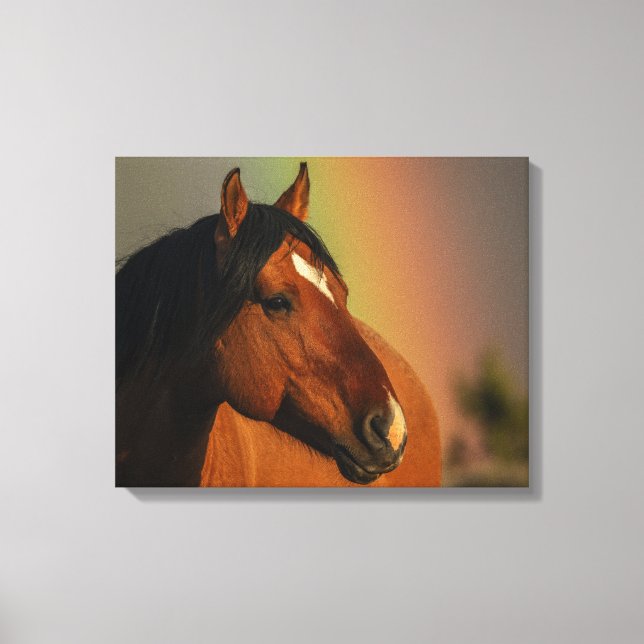 Wild Stallion, Golden Light and Rainbow Canvas Print (Front)