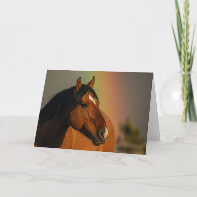 Wild Stallion, Golden Light and Rainbow Card (Front)