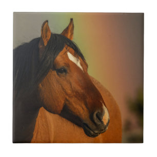 Wild Stallion, Golden Light and Rainbow Ceramic Tile