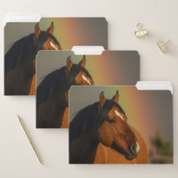 Wild Stallion, Golden Light and Rainbow