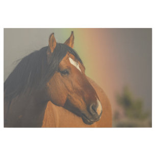 Wild Stallion, Golden Light and Rainbow Gallery Wrap