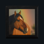 Wild Stallion, Golden Light and Rainbow Gift Box<br><div class="desc">Wild Stallion,  Golden Light and Rainbow</div>