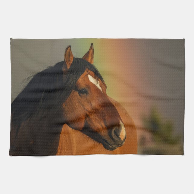 Wild Stallion, Golden Light and Rainbow Kitchen Towel (Horizontal)