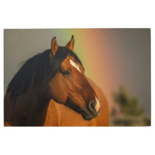 Wild Stallion, Golden Light and Rainbow Metal Print