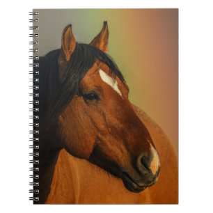 Wild Stallion, Golden Light and Rainbow Notebook
