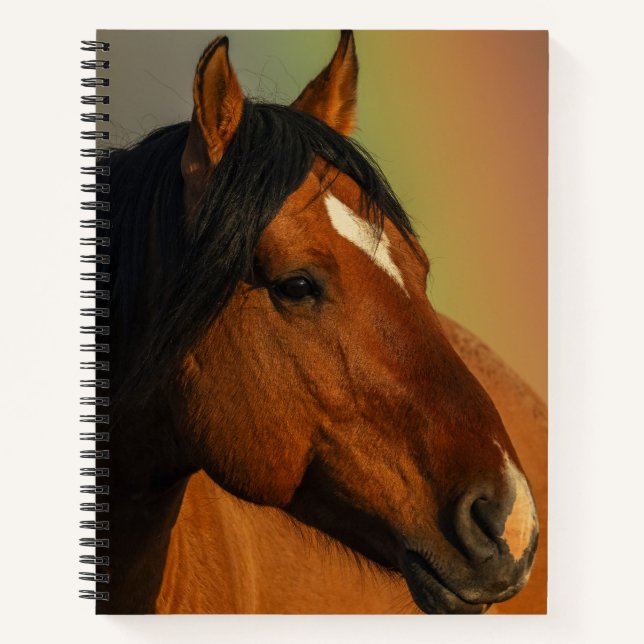 Wild Stallion, Golden Light and Rainbow Notebook (Front)