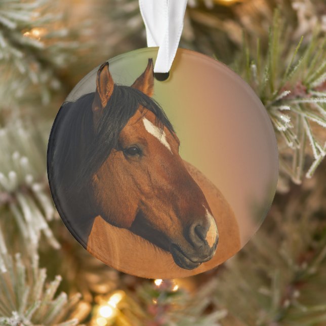 Wild Stallion, Golden Light and Rainbow Ornament (Tree)