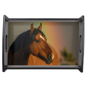 Wild Stallion, Golden Light and Rainbow Serving Tray