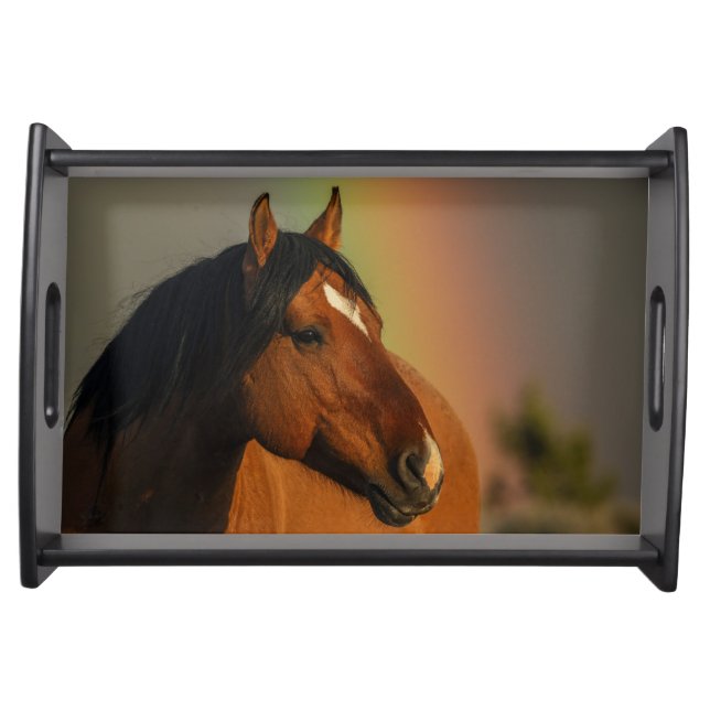 Wild Stallion, Golden Light and Rainbow Serving Tray (Front)