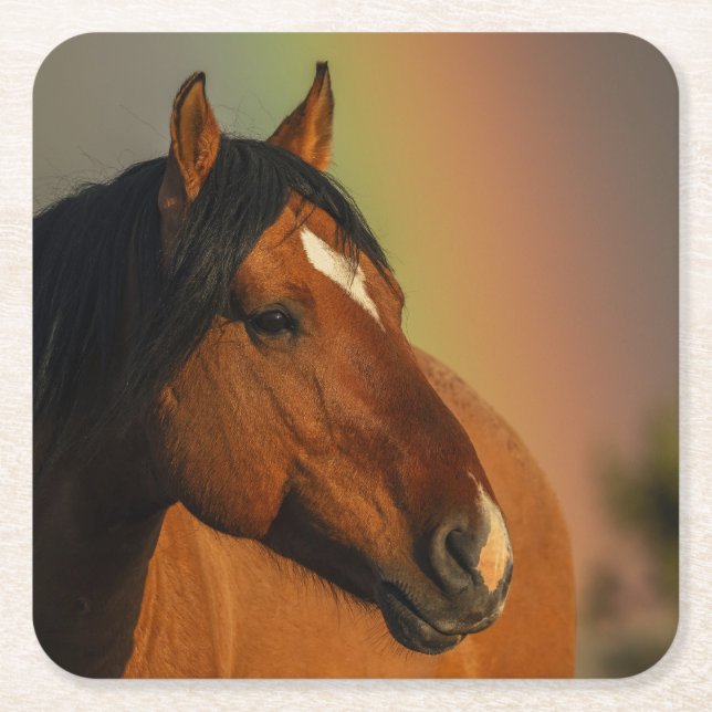 Wild Stallion, Golden Light and Rainbow Square Paper Coaster (Front)