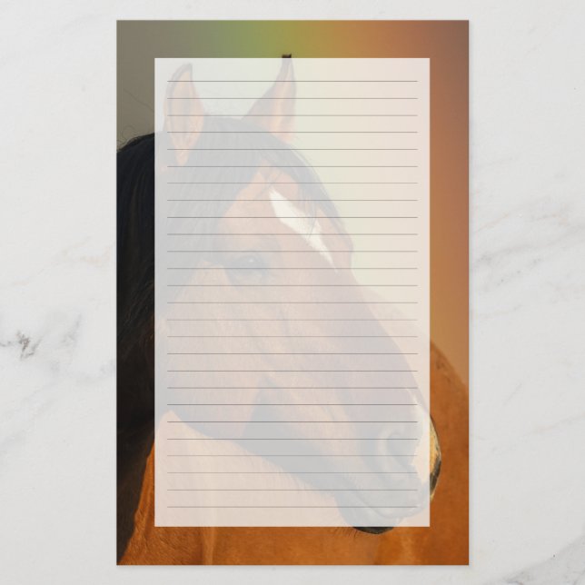 Wild Stallion, Golden Light and Rainbow Stationery (Front)