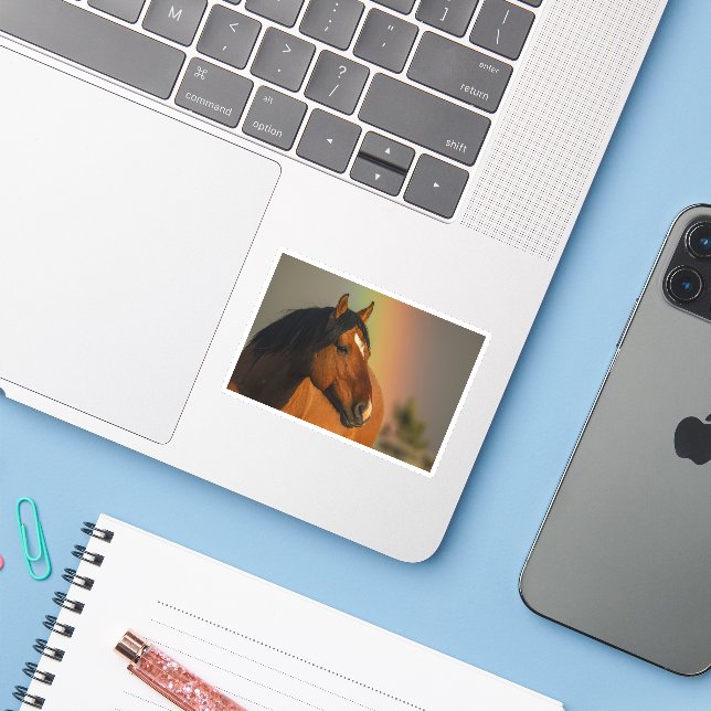 Wild Stallion, Golden Light and Rainbow Sticker (Laptop w/ iPhone)