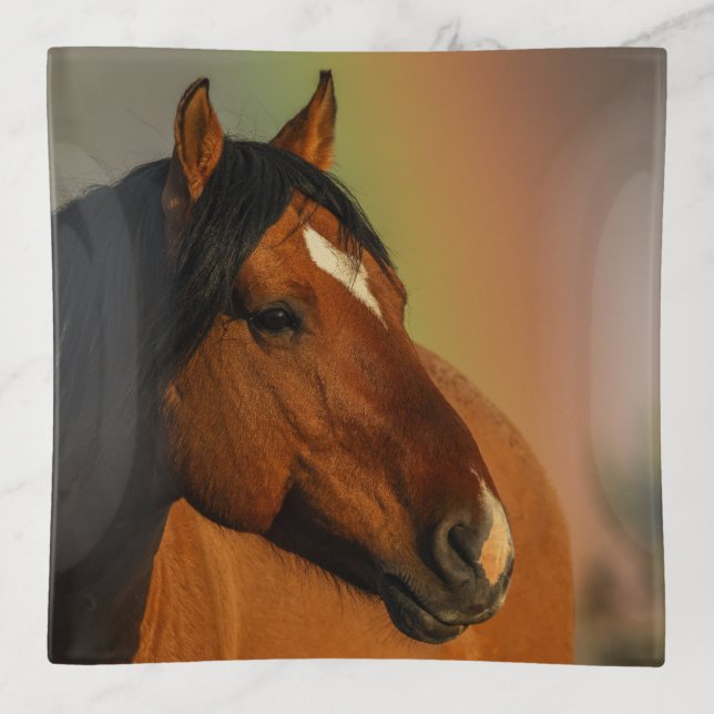 Wild Stallion, Golden Light and Rainbow Trinket Tray (Front)