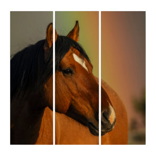 Wild Stallion, Golden Light and Rainbow Triptych