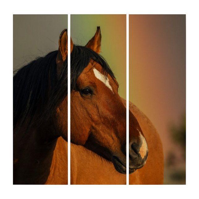Wild Stallion, Golden Light and Rainbow Triptych (Front)