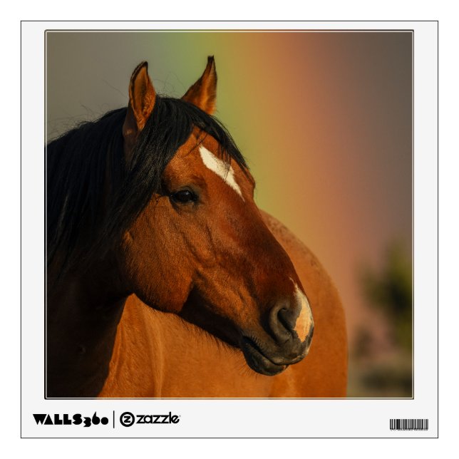 Wild Stallion, Golden Light and Rainbow Wall Decal (Front)