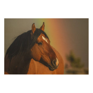 Wild Stallion, Golden Light and Rainbow Wood Wall Art