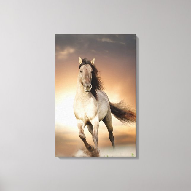 Wild Stallion Running In Sunset Canvas Print (Front)