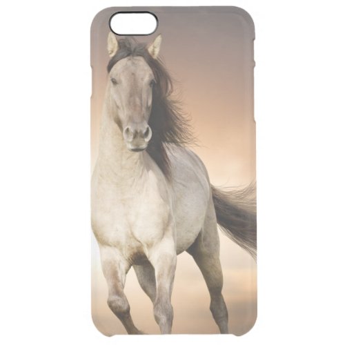 Wild Stallion Running In Sunset Clear iPhone 6 Plus Case