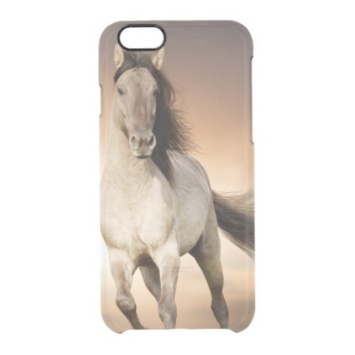 Wild Stallion Running In Sunset Clear iPhone 66S Case