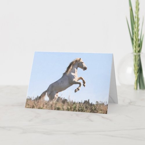 Wild Stallion Survivor Greeting Card