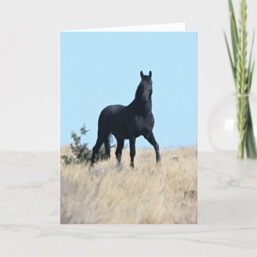 Wild Stallion Voodoo Greeting Card 