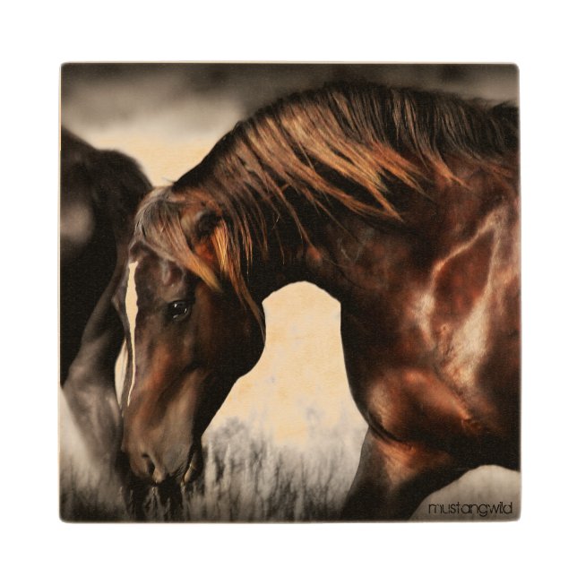 Wild Stallion Wooden Coaster (Front)