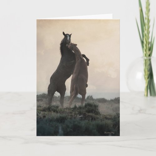 Wild Stallions Note Cards