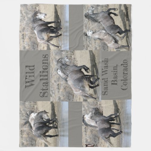 Wild Stallions of  Sand  Wash Basin Fleece Blanket