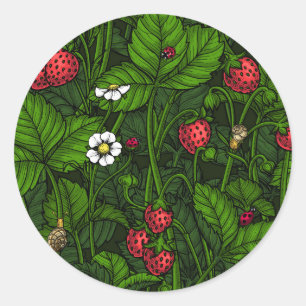 Wild strawberries classic round sticker