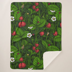 Wild strawberries sherpa blanket