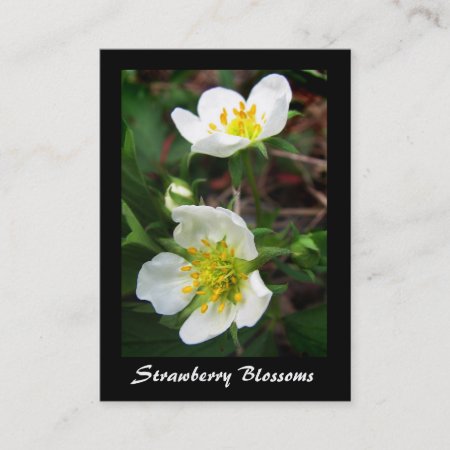 Wild Strawberry Blossoms Atc Business Card