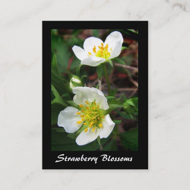Wild Strawberry Blossoms ATC Business Card (Front)