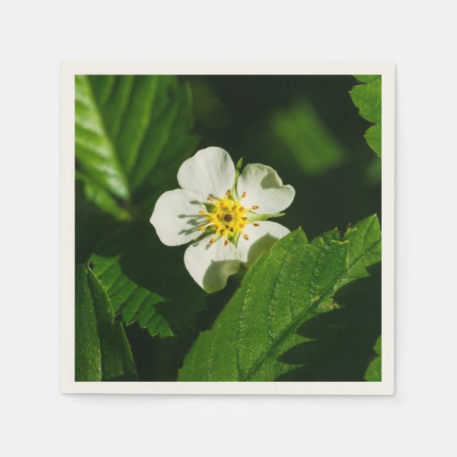 Wild Strawberry Flower Paper Napkins (Front)