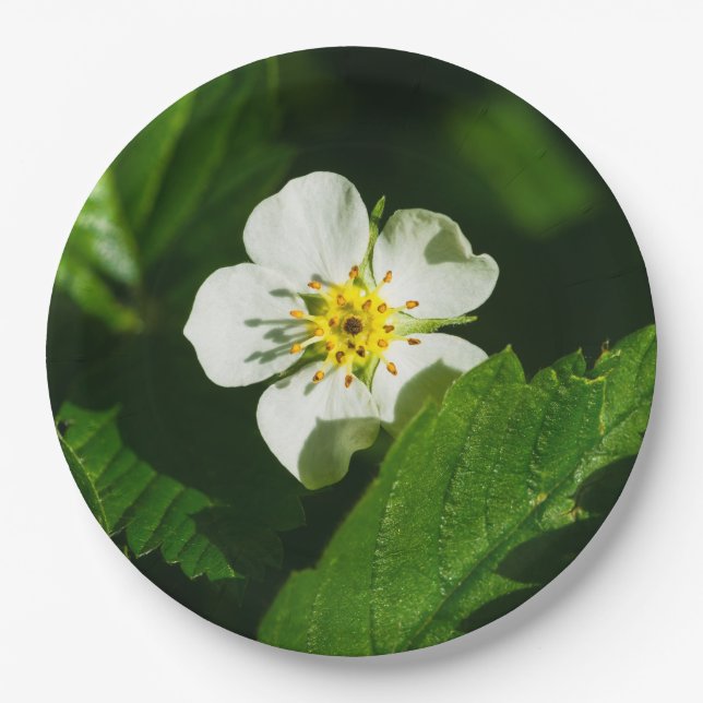 Wild Strawberry Flower Paper Plates (Front)
