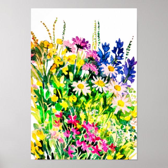 Wild summer flowers in the field poster (Front)