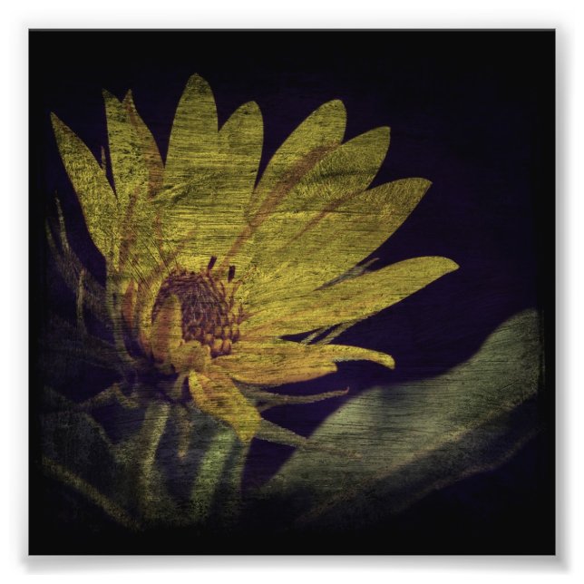 Wild Sunflower Photo Print (Front)