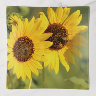 Wild Sunflowers and Bees Unique Trinket Tray
