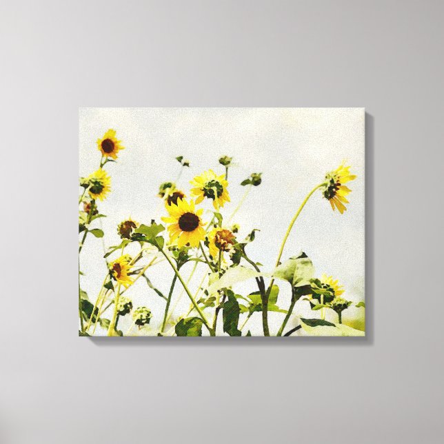Wild Sunflowers and Gray Sky Art Canvas Print (Front)