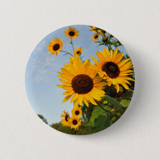 Wild Sunflowers Button