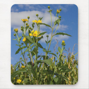 Wild Sunflowers Floral Flower Nature Photography Mouse Pad