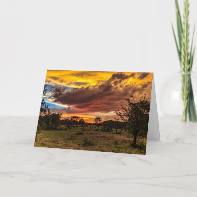 Wild sunset, South Africa Holiday Card (Front)