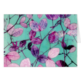 Wild Sweet pea Leaves