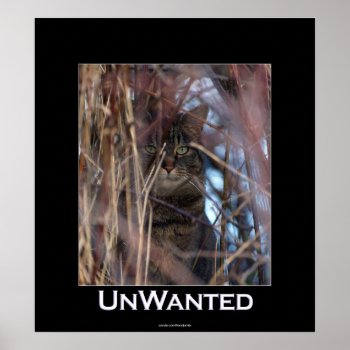 Wild Tabby Cat Demotivational Animal Poster by HANDPRINTS at Zazzle