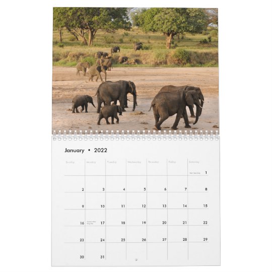 Wild Tanzania Calendar | Zazzle.com