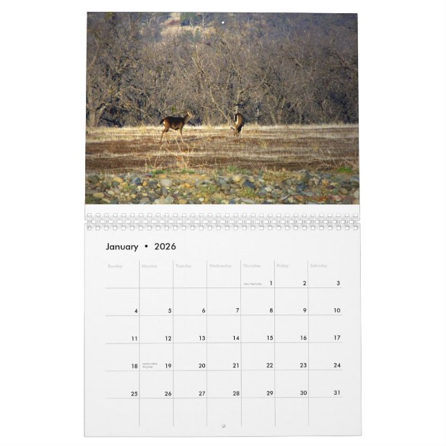 Wild Thing 2014 Calendar (Jan 2026)