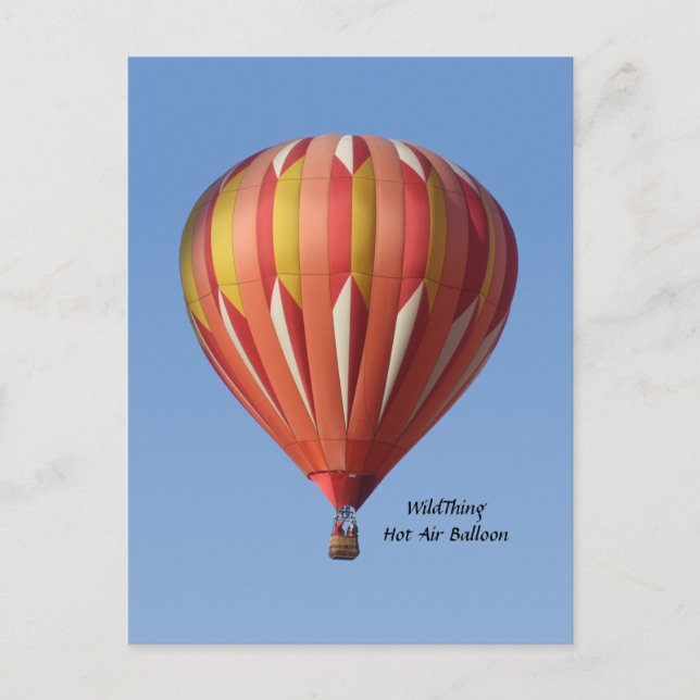 Wild Thing Hot Air Balloon Postcard (Front)