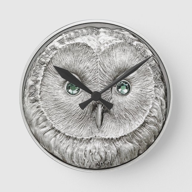 WILD THINGS: Silver Owl Round Wall Clock (Front)