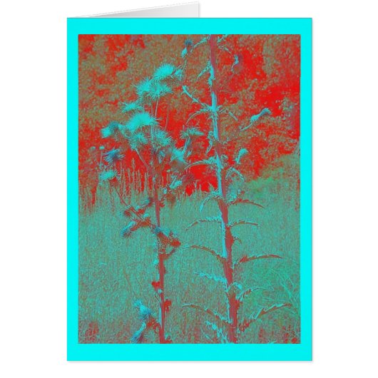 wild thistles red cards (Front)