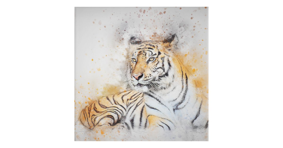 Wild Tiger Acrylic Print | Zazzle